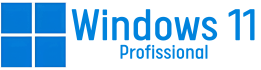 Windows 11